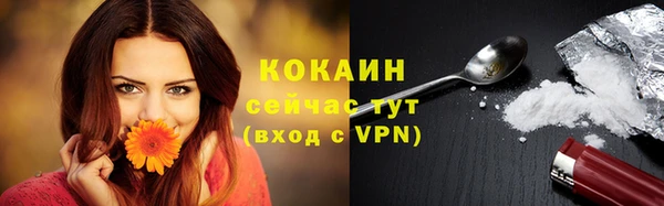 круглые Абаза