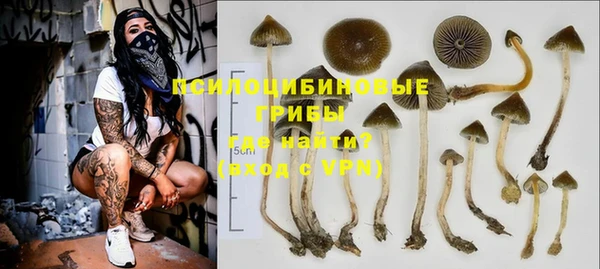spice Абдулино