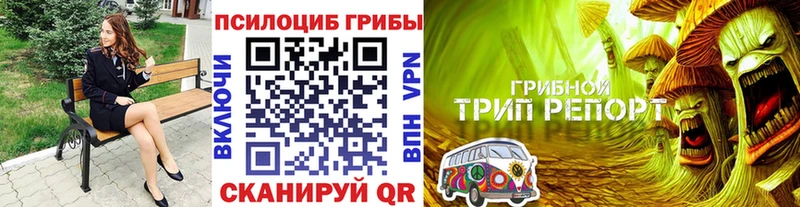 Галлюциногенные грибы Psilocybe  omg ССЫЛКА  Монино 